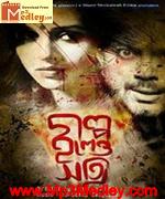 Golpo Holeo Shotti 2014